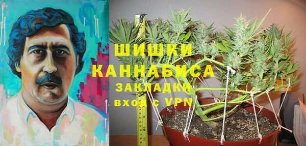 PSILOCYBIN Абаза