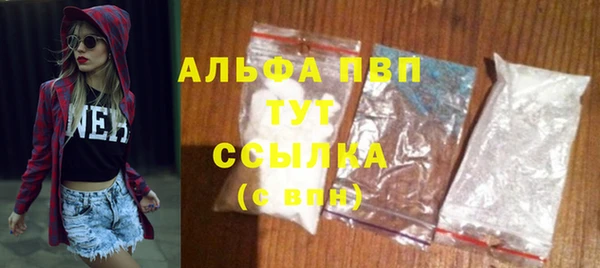 PSILOCYBIN Абаза