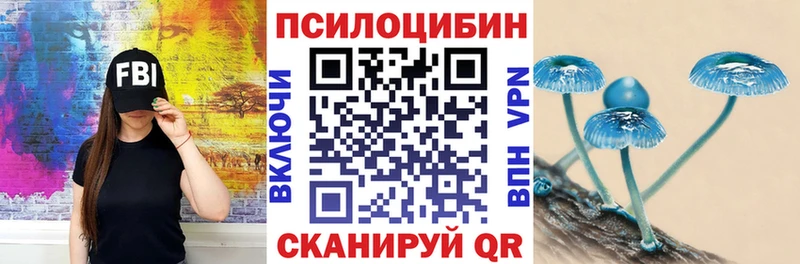Псилоцибиновые грибы мицелий  Касли 